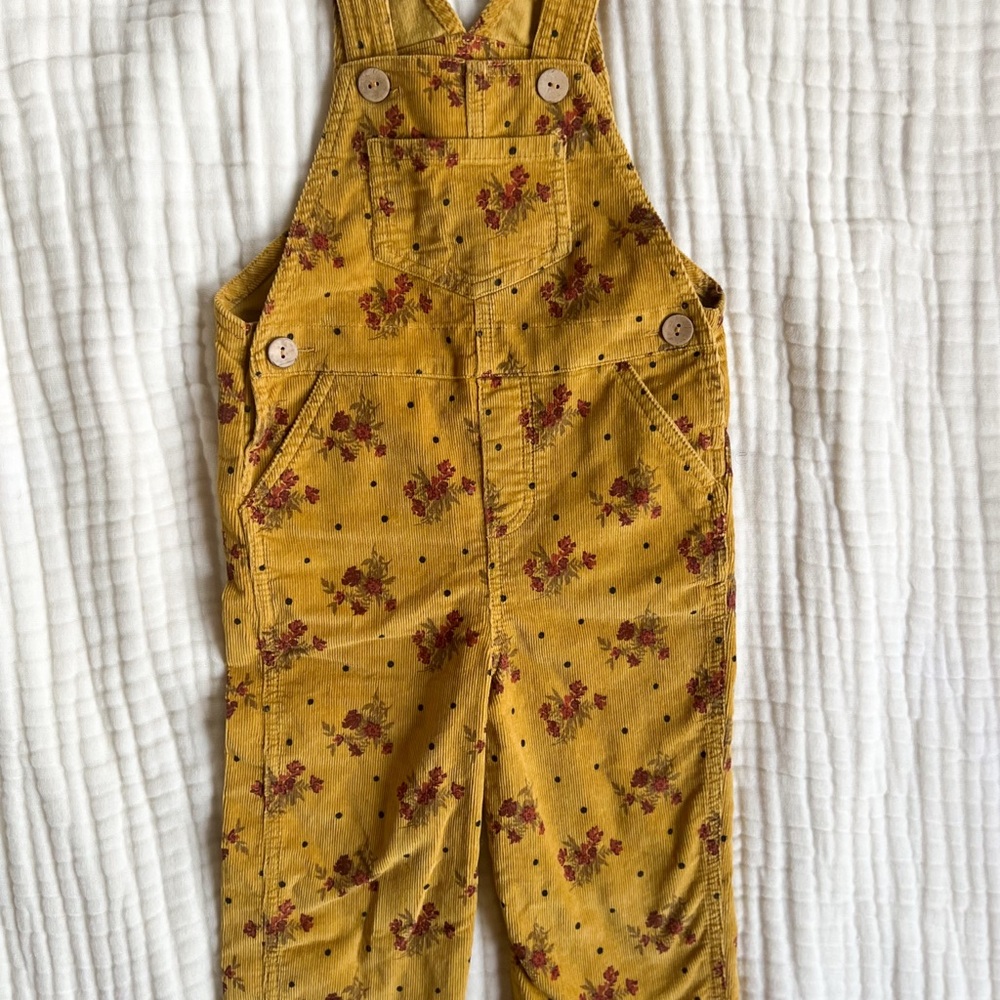 Wild Wawa Vintage Bouqet Overalls